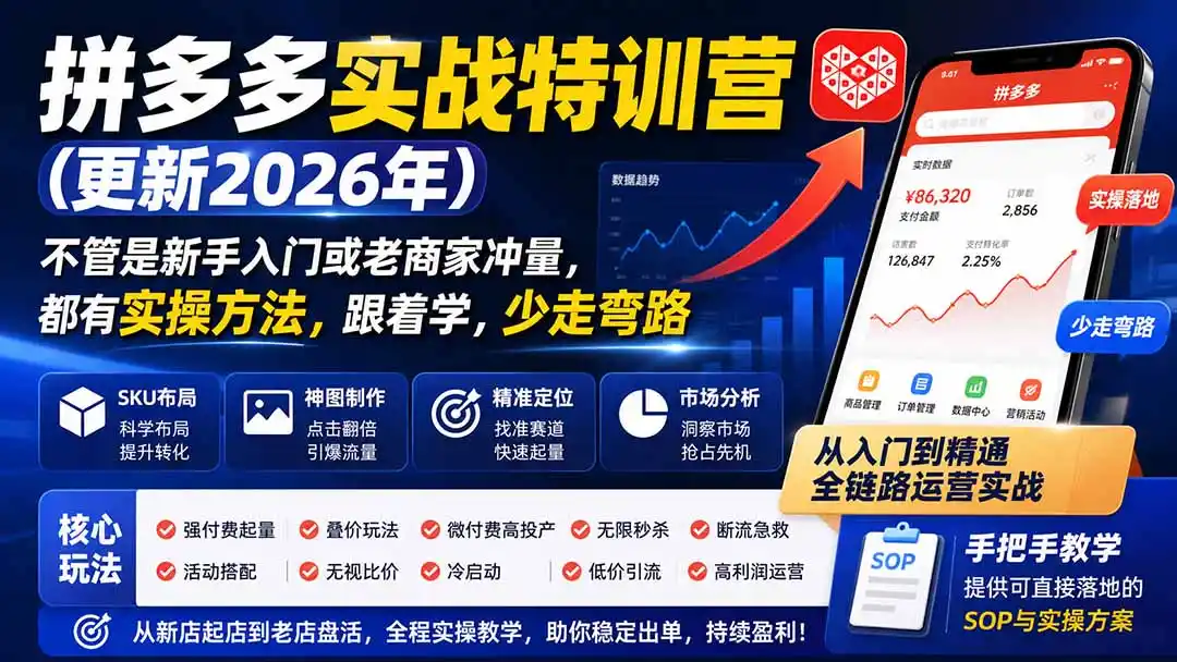 拼多多实战特训营(更新26年9月 拼多多实战特训营(更新26年9月