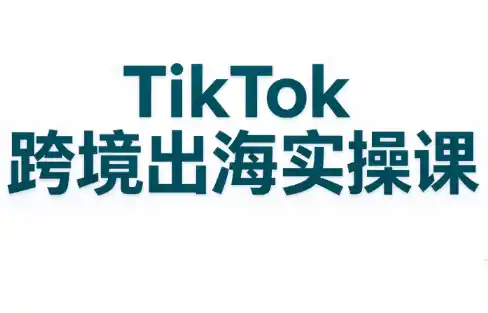 彭老师·TikTok跨境出海实操课 彭老师·TikTok跨境出海实操课
