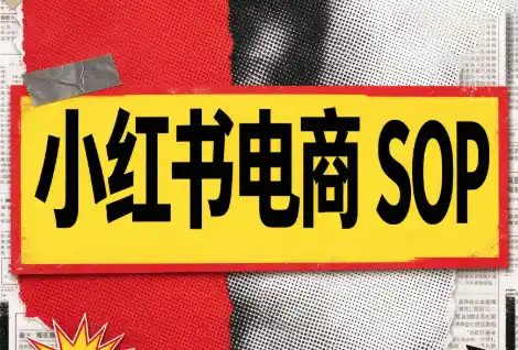 书豪必胜小红书电商sop(更新9月) 书豪必胜小红书电商sop(更新9月)